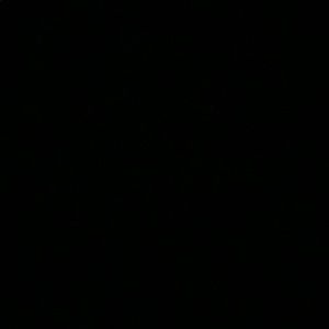 Meet your Posher, Connie